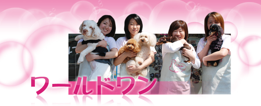 ワールドワン 渋谷